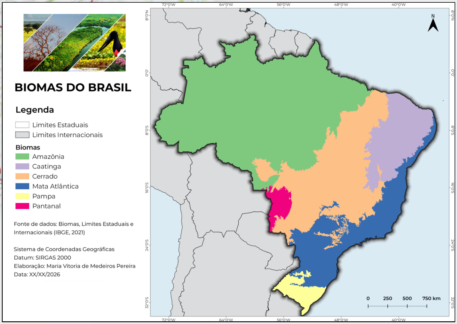 Mapa de biomas do Brasil